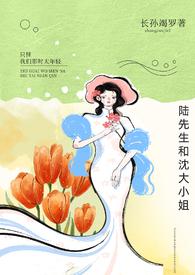 陆先生乔家大小姐免费阅读
