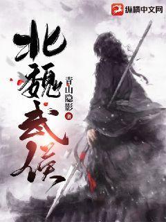 魏武侯是谁?