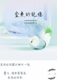 金鱼的记忆能维持多久
