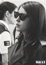 丹凤朝阳讲的什么