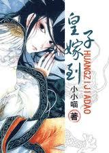 皇子嫁到女尊