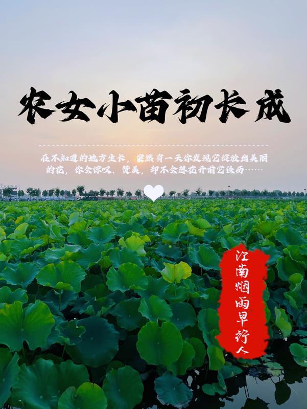 小农女种田记 百度阅读