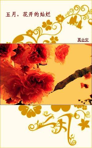 舒曼在灿烂的五月介绍