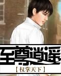 至尊逍遥神修为境界