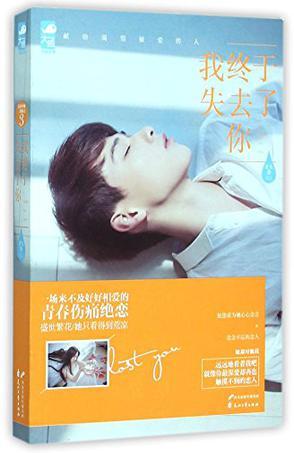 我终于失去了你歌词表达什么意思