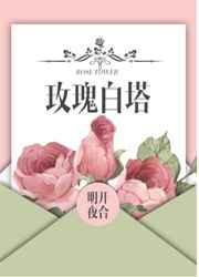 玫瑰白塔第一次圆房是哪一集
