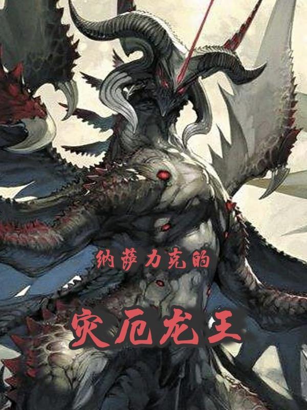纳萨力克npc