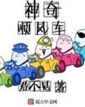神奇顺风车 聚合中文网