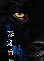 深度豹控人物介绍
