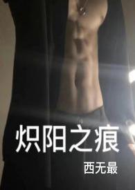 炽阳之痕63章