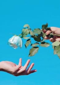 伪骨科还有什么