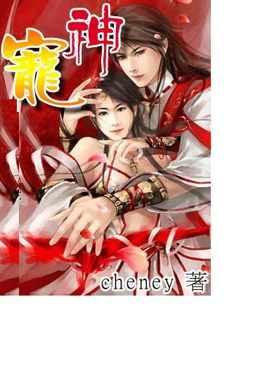 神宠大作战2