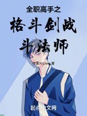 全职高手拳法师技能
