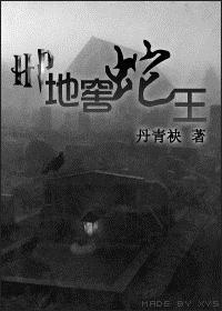 哈利波特地窖蛇王