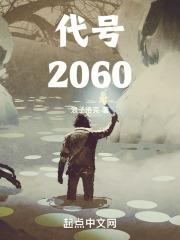 代号208