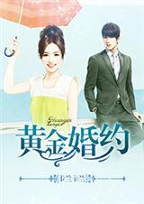 黄金婚套的唯美句子
