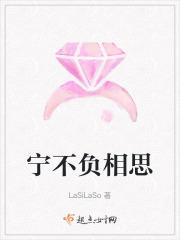 宁负爱情