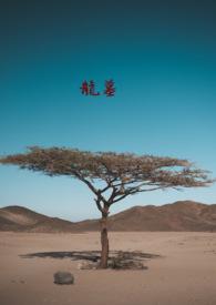 龙墓 龙骨卫