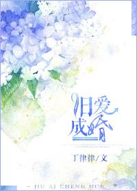 旧爱成婚丁律律txt