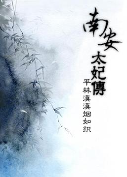 南安太妃传txt资源