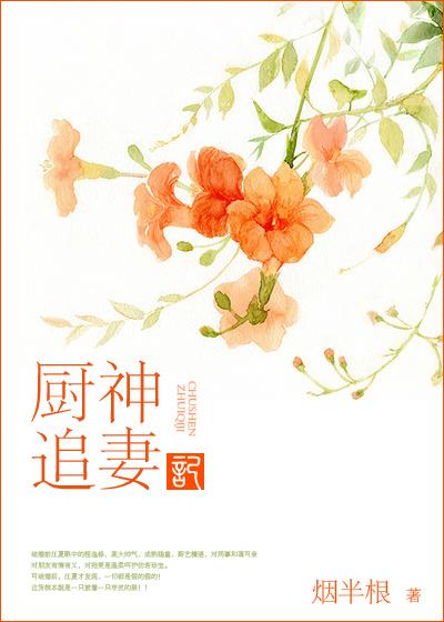 厨神狂后免费阅读