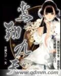 鸾翔凤集什么意思