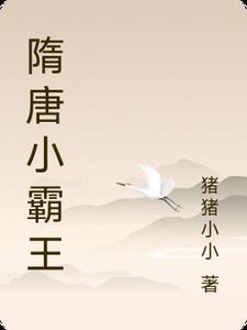 关于隋唐霸业的认识和看法