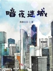 暗夜迷踪2