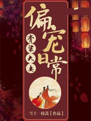 高粱夫妻偏宠日常讲的什么