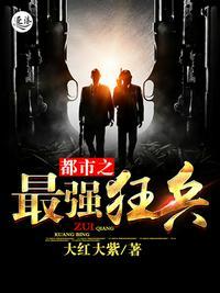 都市之最强狂兵全文阅读