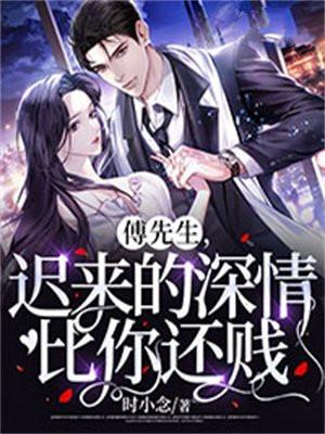 傅先生隐婚成爱傅庭谦迟爱
