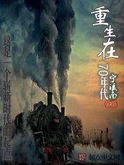 重生在70年代TXT宁溪南