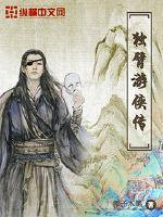 独臂侠大战独臂侠dvd