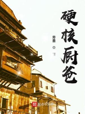 硬核厨爸TXT精校