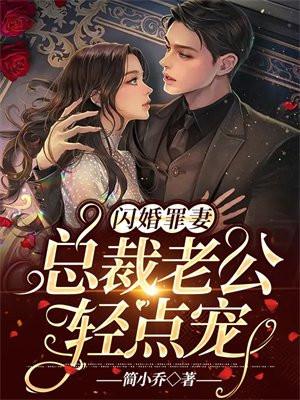 闪婚总裁疼妻入骨免费全文阅读