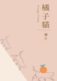 橘子猫轻