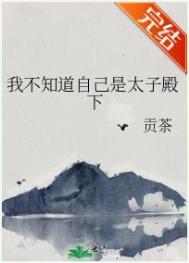 我不知道自己是太子殿下TXT百度