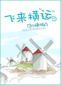 飞来横
