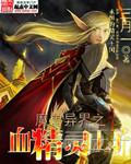 魔兽异界血精灵王子