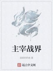 主宰战界