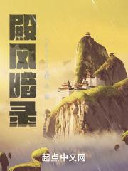 殿风暗录