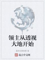 领主从透视大地开始
