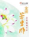 金牌芳香师 完结