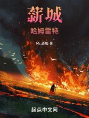 薪城：命运流星
