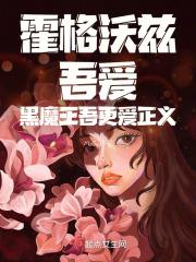 霍格沃兹：吾爱黑魔王吾更爱正义