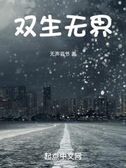 双生无界