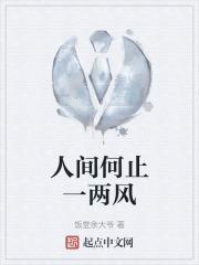 人间何止一两风
