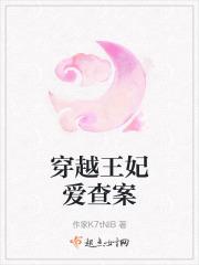 穿越王妃爱查案