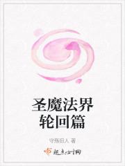圣魔法界轮回篇