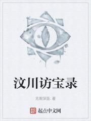 汶川访宝录